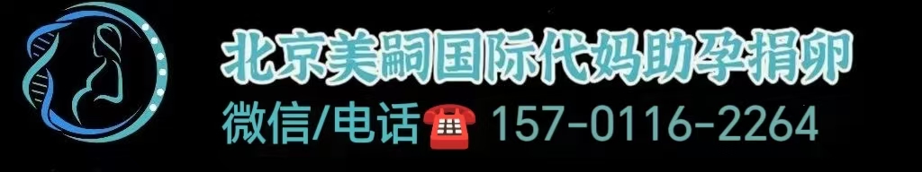 同性恋助孕案例